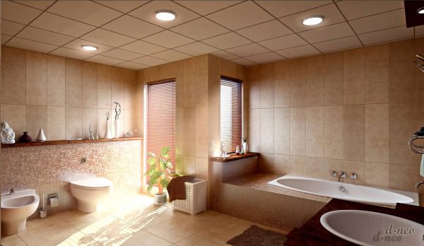 Incredibly Refreshing Bath Tub and Bathroom Design Inspirations